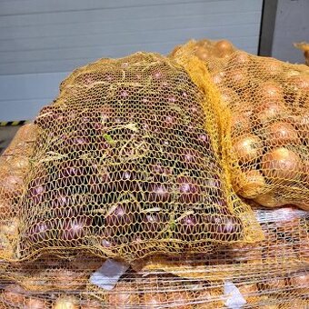 PREDÁM CIBUĽU a ZEMIAKY