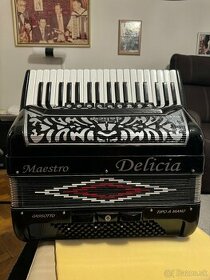 Delicia maestro akordeon