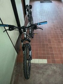 bicykel specialized