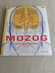 Rita Carterová: Mozog