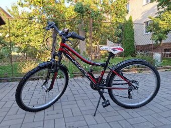 Bicykel HARRY JETTY 24