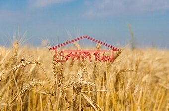 POĽNOHOSPODÁRSKE POZEMKY NA PREDAJ