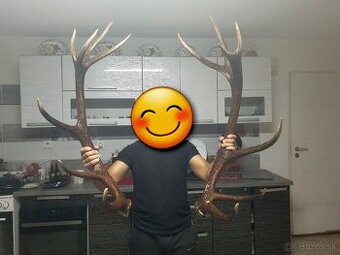 Trofej, trofeje, zhody