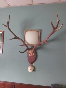 Parožie z roku 1916