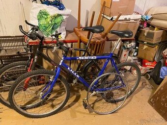 2xhorsky bicykel