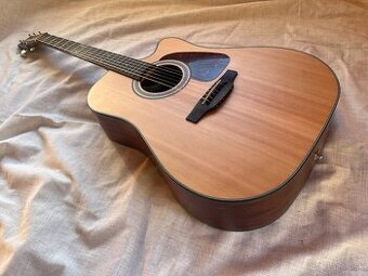 Takamine GD10CE-NS