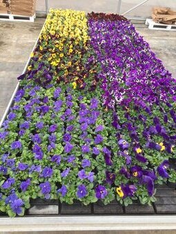 záplavový stôl 380x155