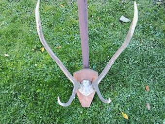 Parohy, trofej na drev.doske