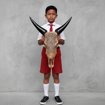 Autentická hnedá vyrezávaná lebka býka - motív malý lotos