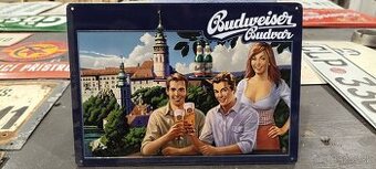 Cedula 3,tabula,plech,retro