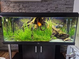 Predam akvarium 576l