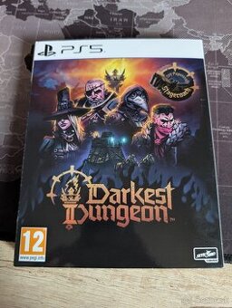 Darkest Dungeon II PS5