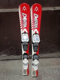 Vôlkl Racetiger GS-80cm