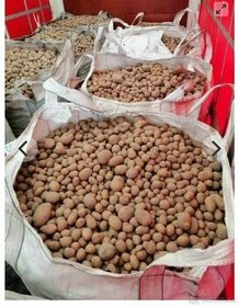 Kŕmne zemiaky 1t-120€ - 1
