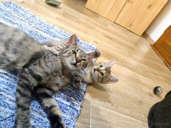 Maťka & Katka - 1