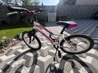 Detský Bicykel kenzel roxis 20