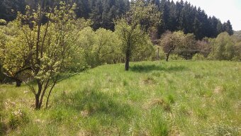 Rekreačný pozemok - 1