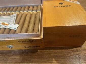 Cohiba cigary