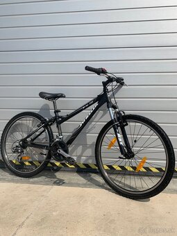 bicykel WHEELER