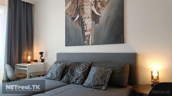 -NIDO2- Klientské centrum, LAKESIDE, AT&T-2-izbovy- PARKING-