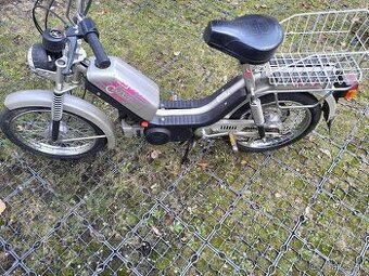 Posledny model