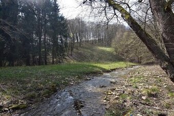 Na predaj veľký lesný pozemok Drietoma - Liešna, 6549m2
