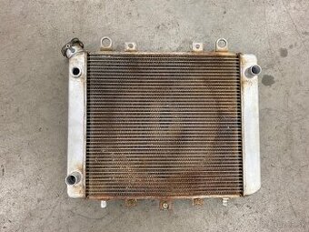 Kawasaki Brute Force 750, chladič