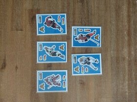 Hokejové kartičky/nálepky NHL UD 1996 5ks - 1