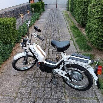 Babetta 210