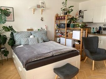 Na prenájom novodobý 1 izbový byt, Nitra, Chrenová