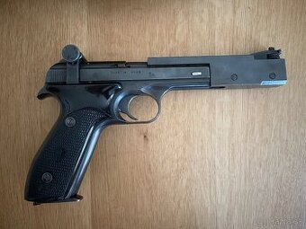 Margolina 22