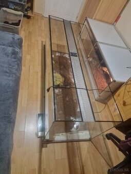Terarium