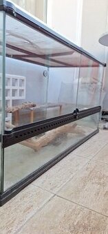 Terarium