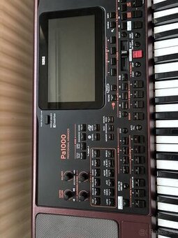 Korg Pa 1000
