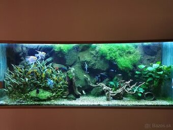Akvarijne ryby príslušenstvo akvariz