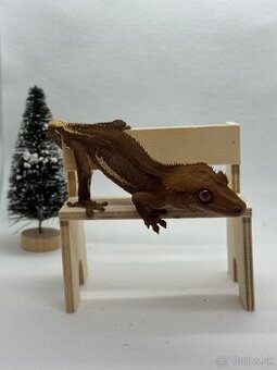 REZERVOVANY Pagekon riasnaty LW phantom - 1