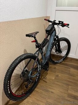 Ebike