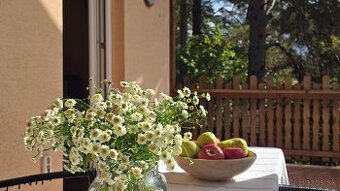 V prekrásnom prostredí prírody - Bojnice Rekreačná