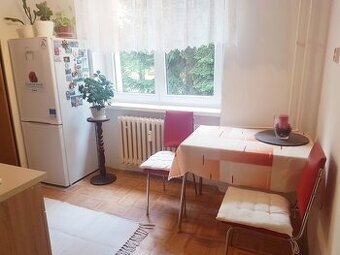 1 izbový byt v centre mesta