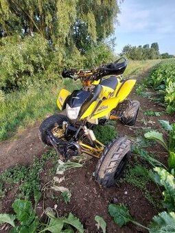 Bashan 200