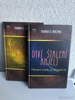 Diví šialení anjeli  Thomas Brezina