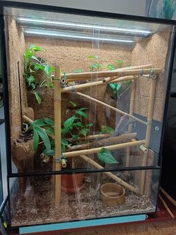 Terarium