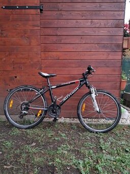 Kaktusbike - 1