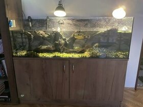 vodné korytnačky s akvárium a skrinkou