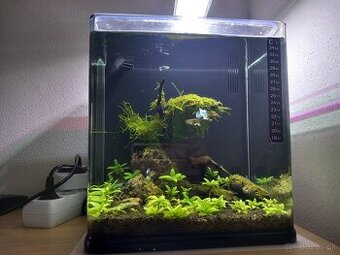 Akvarium 20 lit.