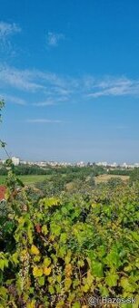 Pozemok Levice