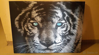 Predám obraz tigra tlac na platne.