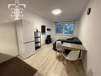 Prenájom 1 izbového bytu s vlastným parkovaním na sídlisku F