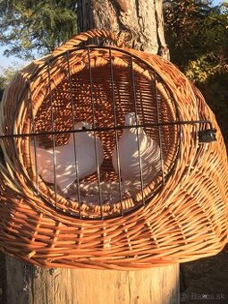 Biele svadobné holuby