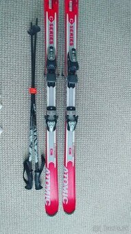 Lyze, viazanie, palicky